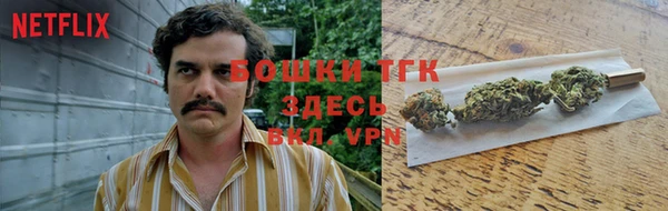 индика Вяземский